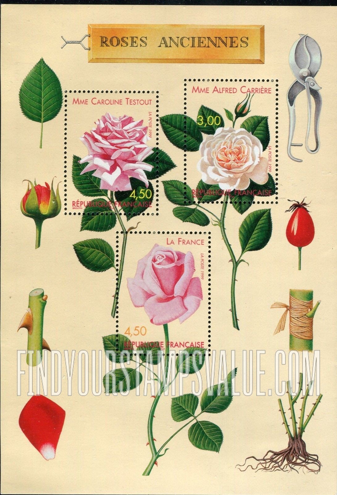 FindYourStampsValue: World Old Roses Competition, Lyon