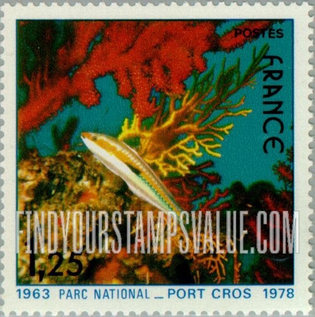 FindYourStampsValue: Fish and Corals