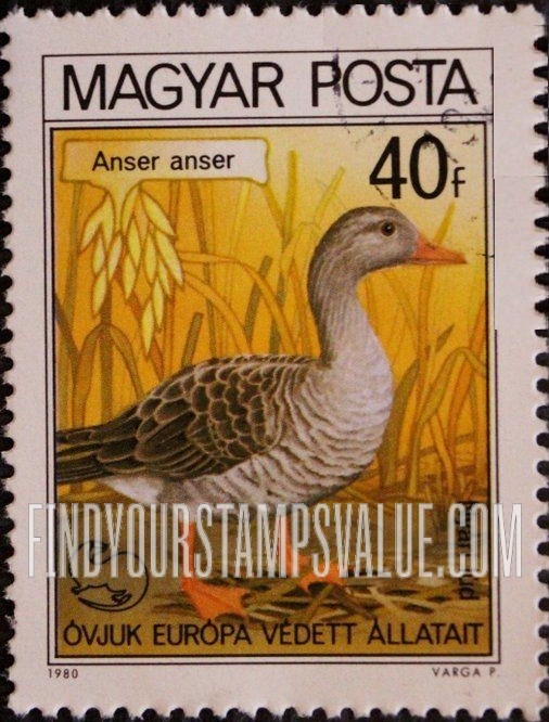 FindYourStampsValue: Graylag Goose