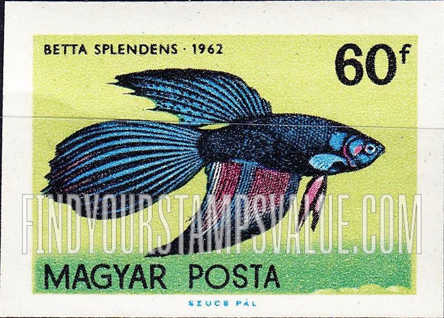 FindYourStampsValue: Tropical Fish: Betta splendens