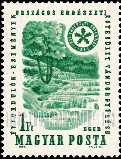 FindYourStampsValue: Waterfall and forest