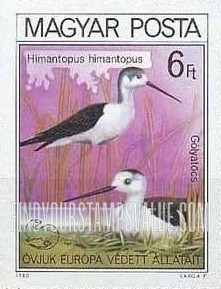 FindYourStampsValue: Black-necked stilt