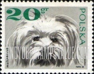 FindYourStampsValue: Dogs: Maltese
