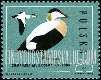 FindYourStampsValue: Wild Ducks: Somateria mollissima