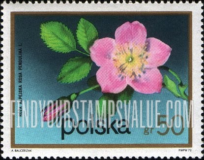 FindYourStampsValue: Flowering Shrubs: Alpine rose