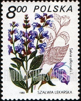 FindYourStampsValue: Medicinal plants: Salvia officinalis
