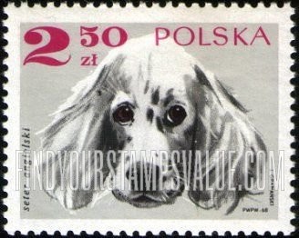 FindYourStampsValue: Dogs: English setter