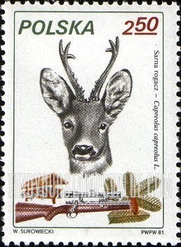 FindYourStampsValue: Elk