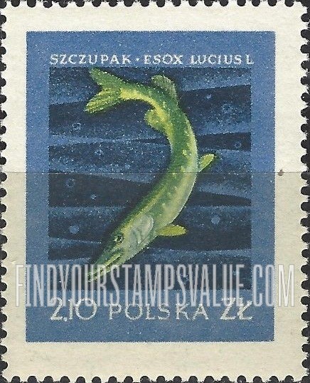 FindYourStampsValue: Fishes: Pike, vertical