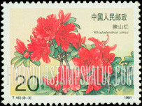 FindYourStampsValue: Rhododendrons: Simsii - 杜鹃花: 映山红