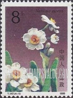 FindYourStampsValue: Narcissus: Narcissus Tazetta - 水仙花