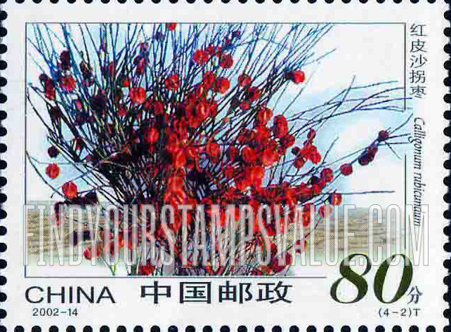 FindYourStampsValue: Desert Flowers: Calligonum rubicandum - 沙漠植物: 红皮沙拐枣