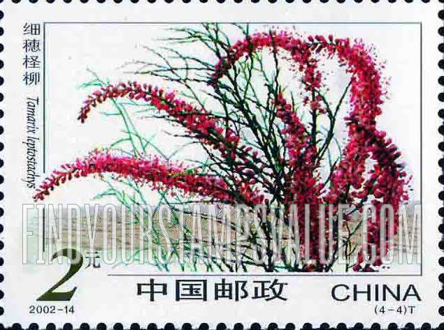 FindYourStampsValue: Desert Flowers: Tamarix leptostachys - 沙漠植物: 细穗柽柳
