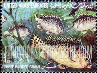 FindYourStampsValue: Fish: Three banded grunt - سمك: خبر