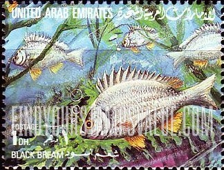 FindYourStampsValue: Fish: Black bream - سمك: شعم أسود
