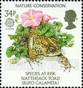 FindYourStampsValue: Great Britain (United Kingdom): Europa, Nature Conservation, Endangered Species - Natterjack Toad