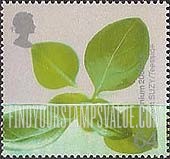 FindYourStampsValue: Great Britain (United Kingdom): Life & Earth - Plant Leaves in Water, Project SUZY, Teeside