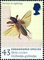 FindYourStampsValue: Great Britain (United Kingdom): Endangered Species - Mole Cricket