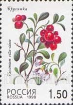 FindYourStampsValue: Russia: Russian Federation, Wild Berries - Vaccinium Vitis-Idaea