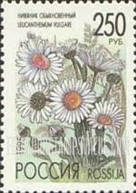 FindYourStampsValue: Russia: Russian Federation, Meadow Flowers - Leucanthemum Vulgare