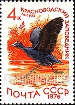 FindYourStampsValue: Russia: USSR, Nature Protection - European Coot