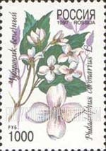FindYourStampsValue: Russia: Russian Federation, Flowers - Philadelphus Coronarius