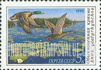 FindYourStampsValue: Russia: USSR, Duck Conservation - Anas Platyrhynchos