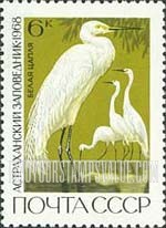 FindYourStampsValue: Russia: USSR, Astrakhan State Reservation - Great White Egrets