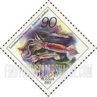 FindYourStampsValue: Russia: Russian Federation, Sea Life - Todarodes Pacificus