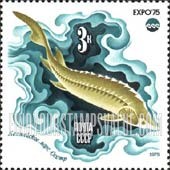FindYourStampsValue: Russia: USSR, Oceanexpo'75 - Emblem and Sturgeon, Caspian Sea