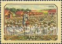 FindYourStampsValue: Russia: USSR, Agriculture - Chicken Farm