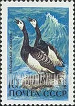 FindYourStampsValue: Russia: USSR, Waterfowl of the USSR - Barnacle Geese