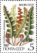 FindYourStampsValue: Russia: USSR, Ferns - Ceterach Officinarum