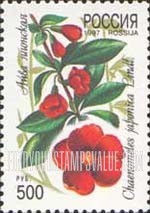 FindYourStampsValue: Russia: Russian Federation, Flowers - Chaenomeles Japonica