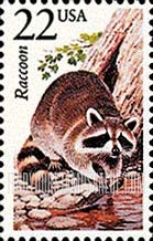 FindYourStampsValue: RACCOON - North American Wildlife