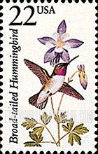 FindYourStampsValue: BROAD-TAILED HUMMINGBIRD - North American Wildlife