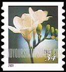 FindYourStampsValue: FLOWERS - Freesia Lily, Self-Adhesive Coil Stamp