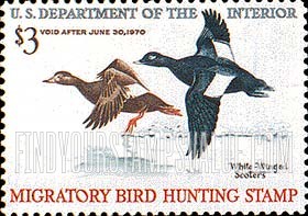 FindYourStampsValue: WHITE-WINGED SCOTERS