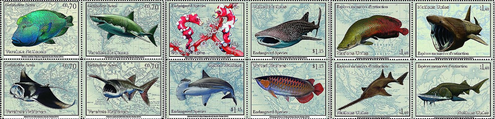 Endangered fish species will appear on a new stamp issue