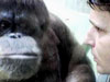 Stamps to feature camera phone snaps