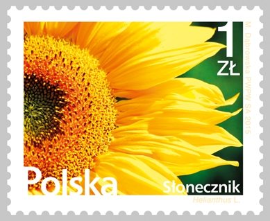 Sunflowers as the most joyous and flamboyant flowers