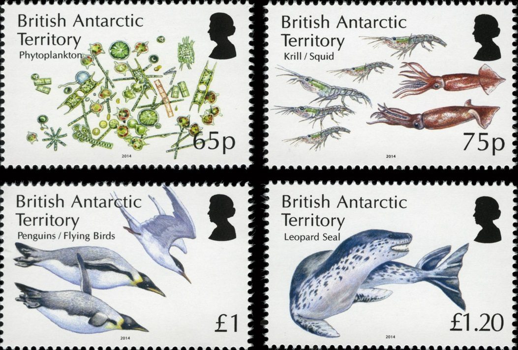 The Antarctic Marine Food Web – scientific issue by British Antarctic Territory