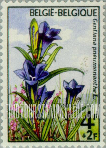 FindYourStampsValue: Semi-Postal: Gentian