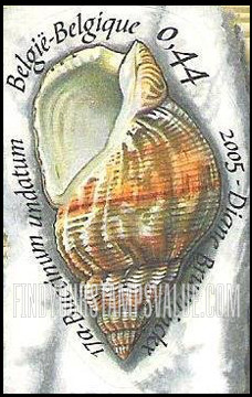 FindYourStampsValue: Shells and Snails: Buccinum undatum