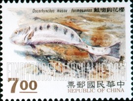 FindYourStampsValue: Oncorhynchus Masou Formosanus: Female digging a spot to lay eggs - 樱花钩吻鲑: 女性挖一个地方下蛋