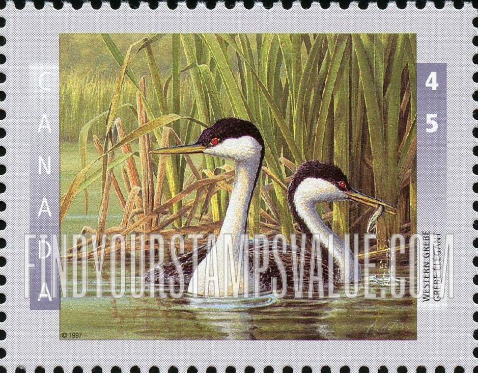 FindYourStampsValue: Bird Type of 1996: Western grebe