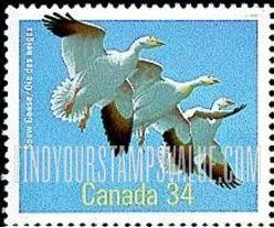 FindYourStampsValue: Indigenous Birds: Snow goose