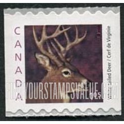 FindYourStampsValue: White-tailed deer