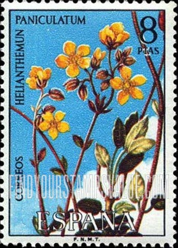 FindYourStampsValue: Flower: Helianthemun paniculatum