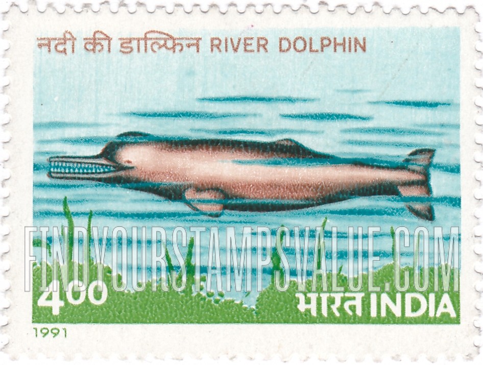 FindYourStampsValue: Republic of India: River dolphin - भारत गणराज्य: नदी का डॉल्फ़िन